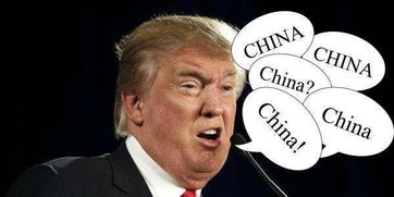 (特朗普的财团是干什么的)特朗普财长人选深陷混乱之中，局势前所未有的复杂和动荡